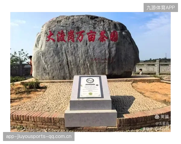 曾在开拓者任助教，如何让青年教师“站好岗、放好鞭”？